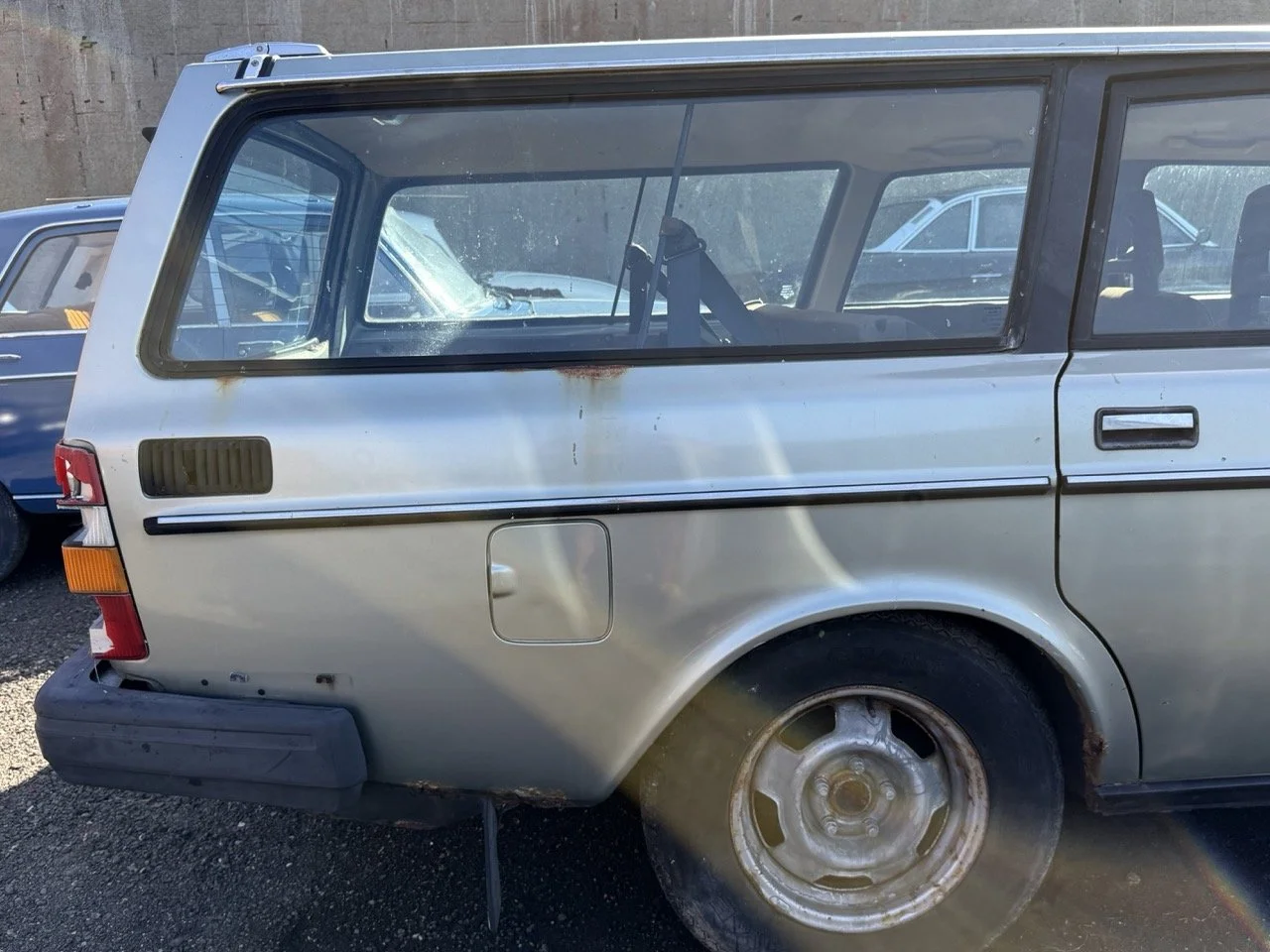 IMG_1204 – grande.jpeg