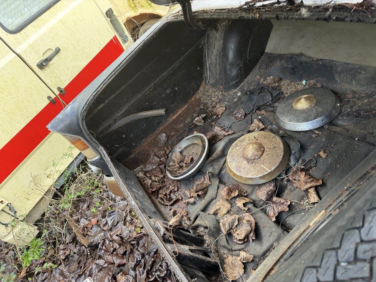 IMG_5055 – grande.jpeg