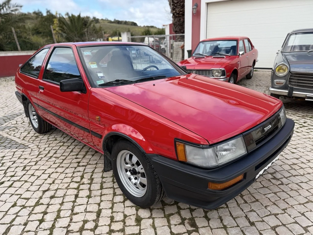 IMG_2408 – grande.jpeg