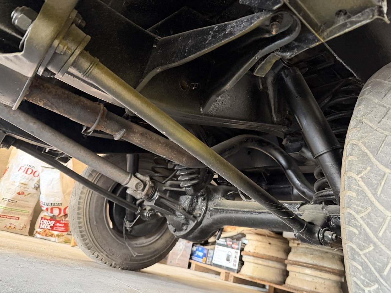 IMG_5638 – grande.jpeg