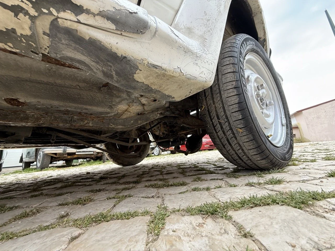 IMG_8641 – grande.jpeg