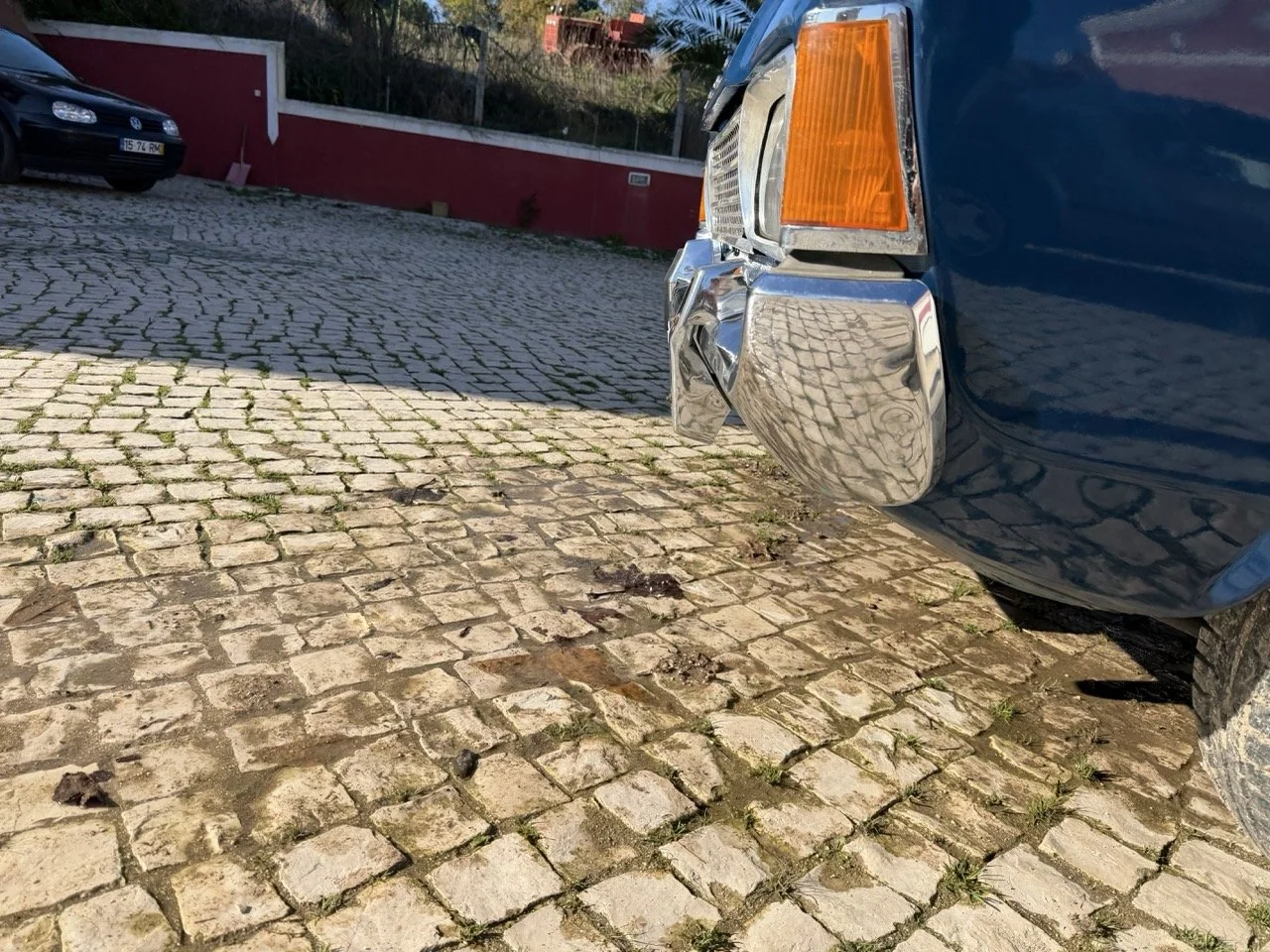 IMG_1868 – grande.jpeg