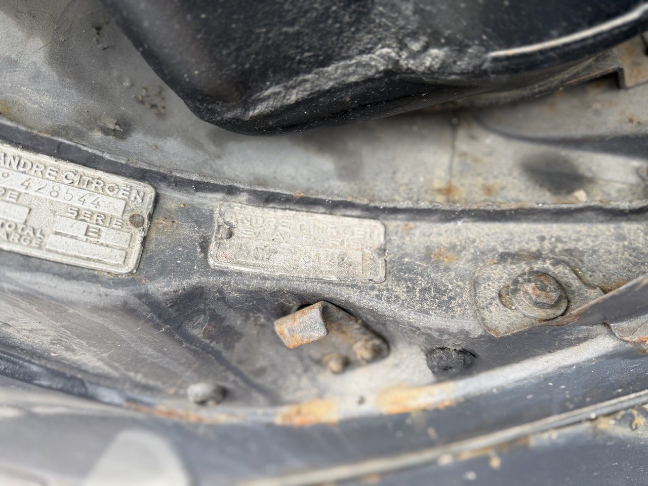 IMG_1853 – grande.jpeg