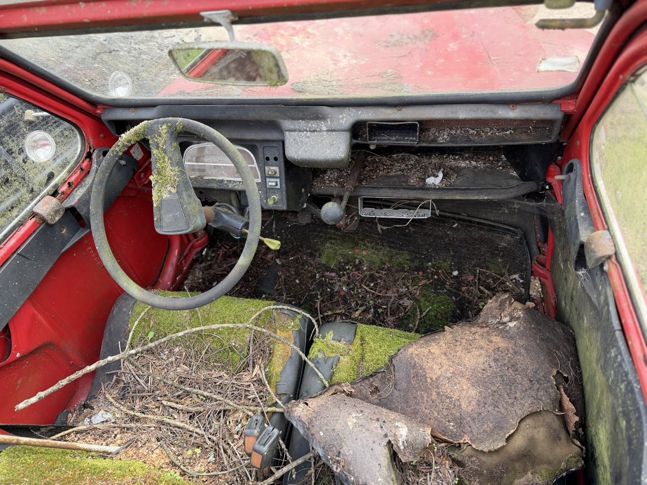 IMG_3853 – grande.jpeg