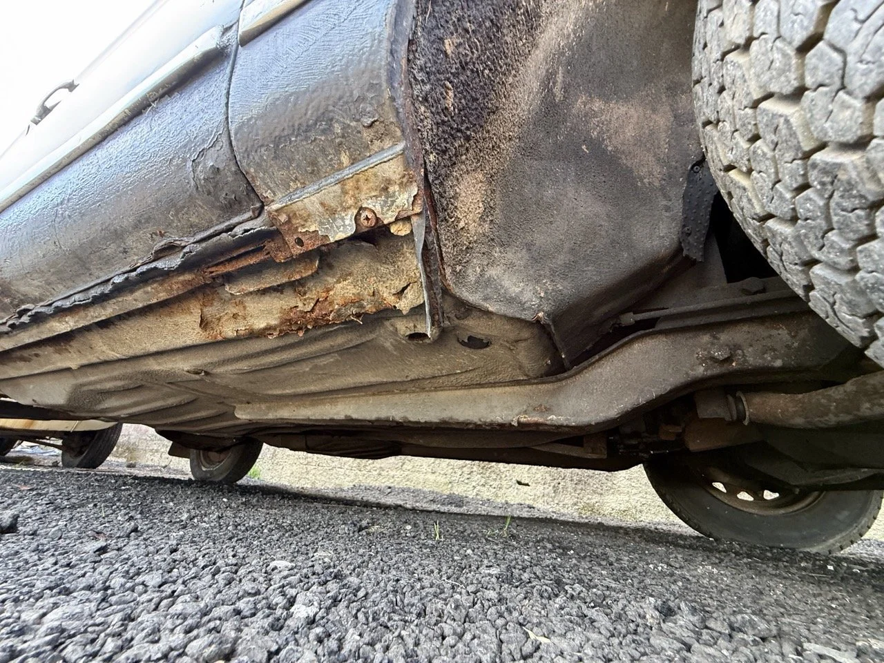 IMG_0628 – grande.jpeg