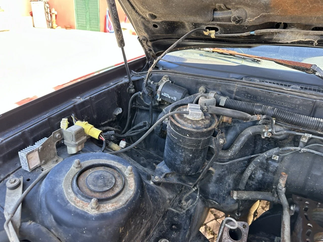 IMG_3078 – grande.jpeg