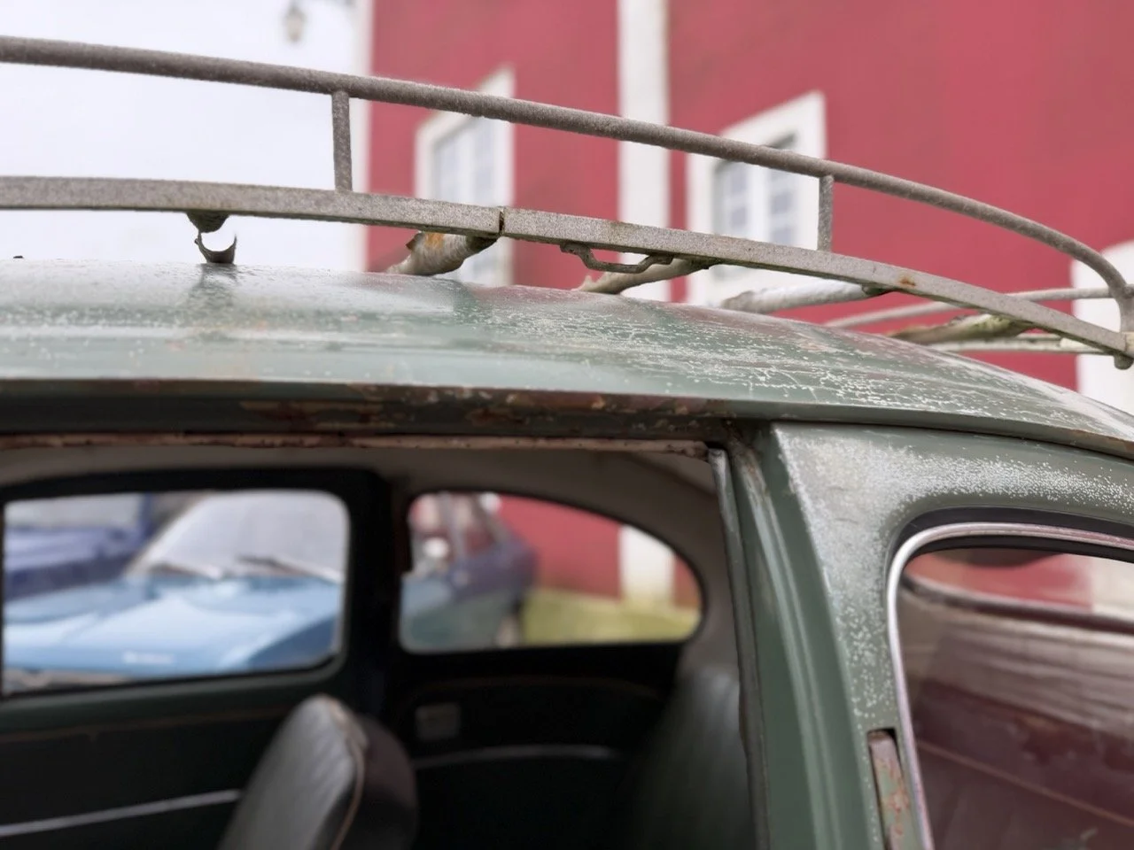 IMG_1132 – grande.jpeg