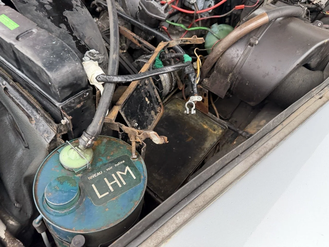 IMG_3740 – grande.jpeg