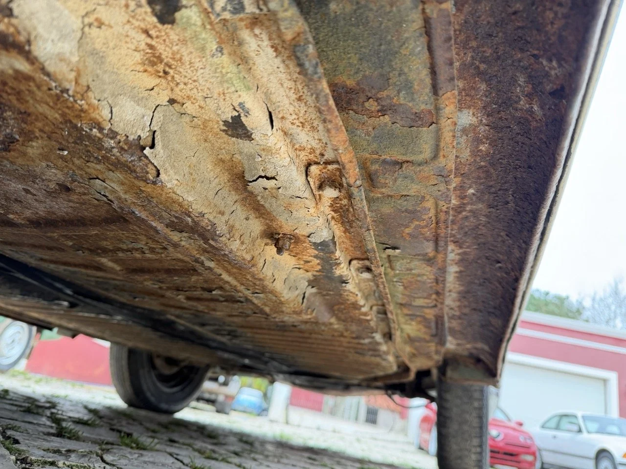 IMG_1229 – grande.jpeg