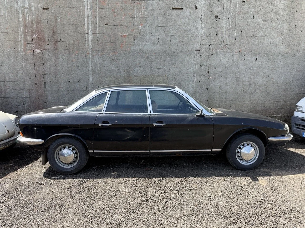 IMG_0560 – grande.jpeg