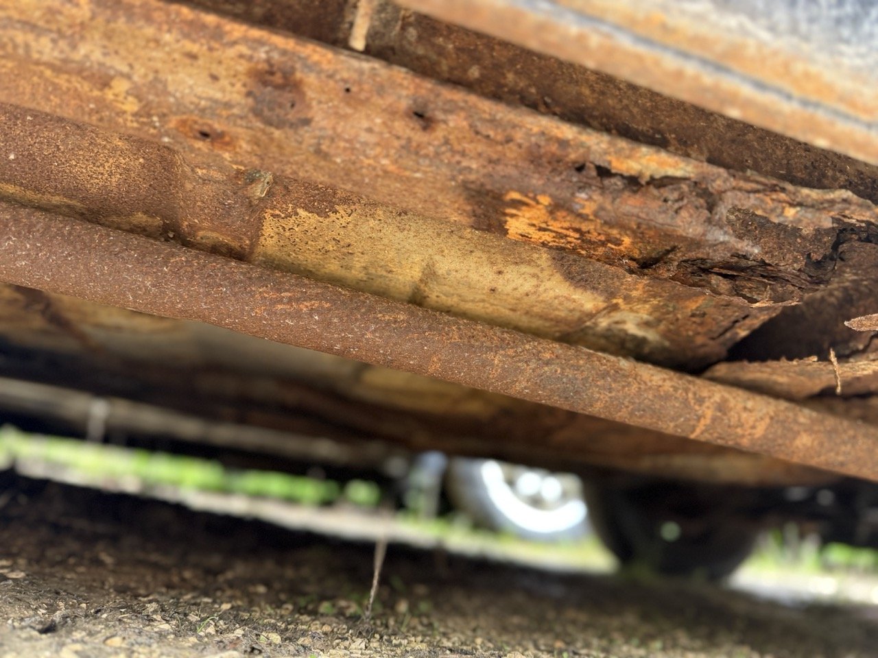 IMG_5007 – grande.jpeg