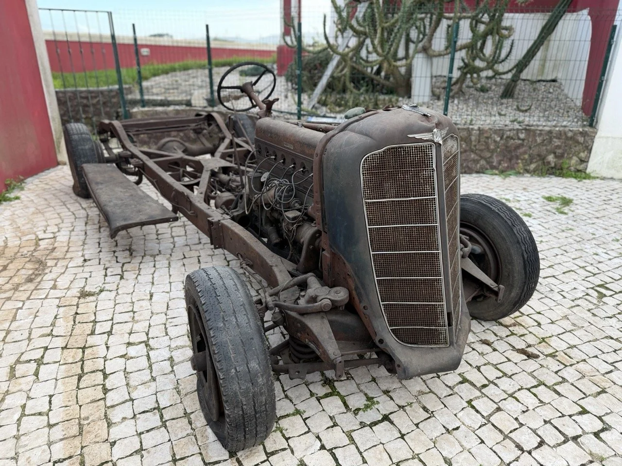 IMG_7052 – grande.jpeg