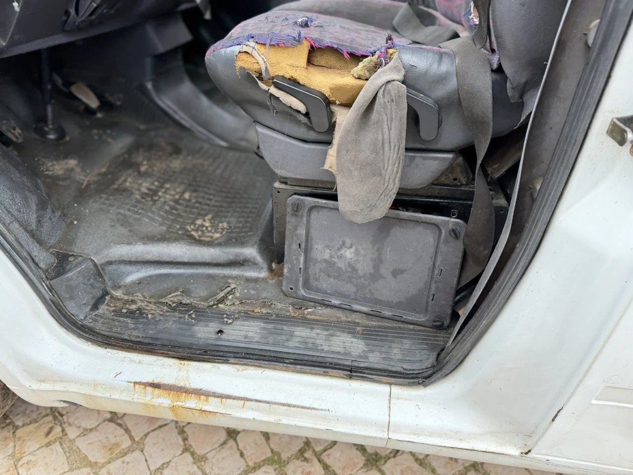 IMG_9517 – grande.jpeg