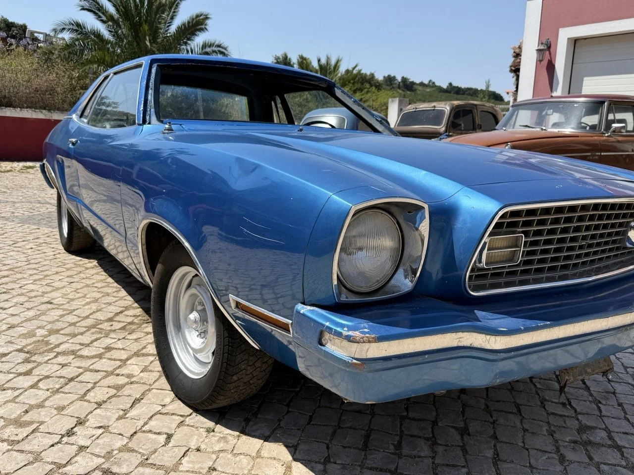 IMG_0993 – grande.jpeg