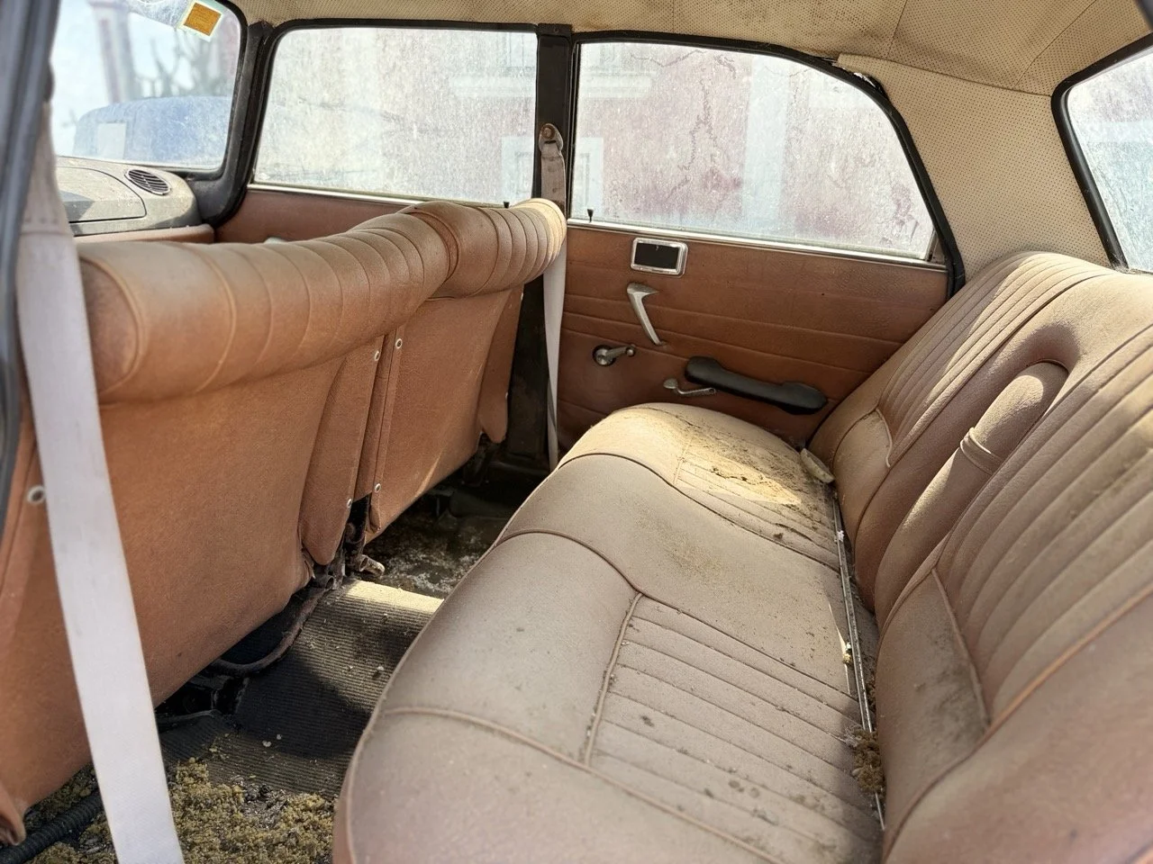 IMG_3474 – grande.jpeg