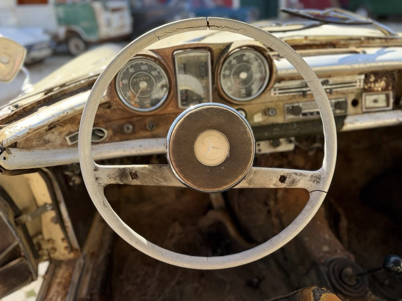 IMG_7016 – grande.jpeg