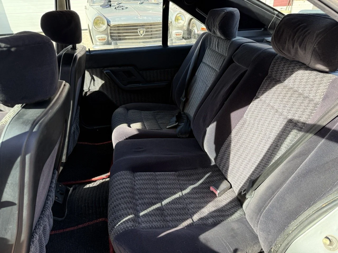 IMG_2537 – grande.jpeg