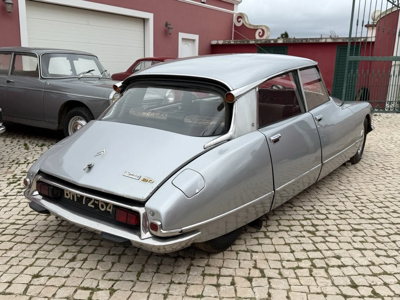 IMG_3669 – grande.jpeg