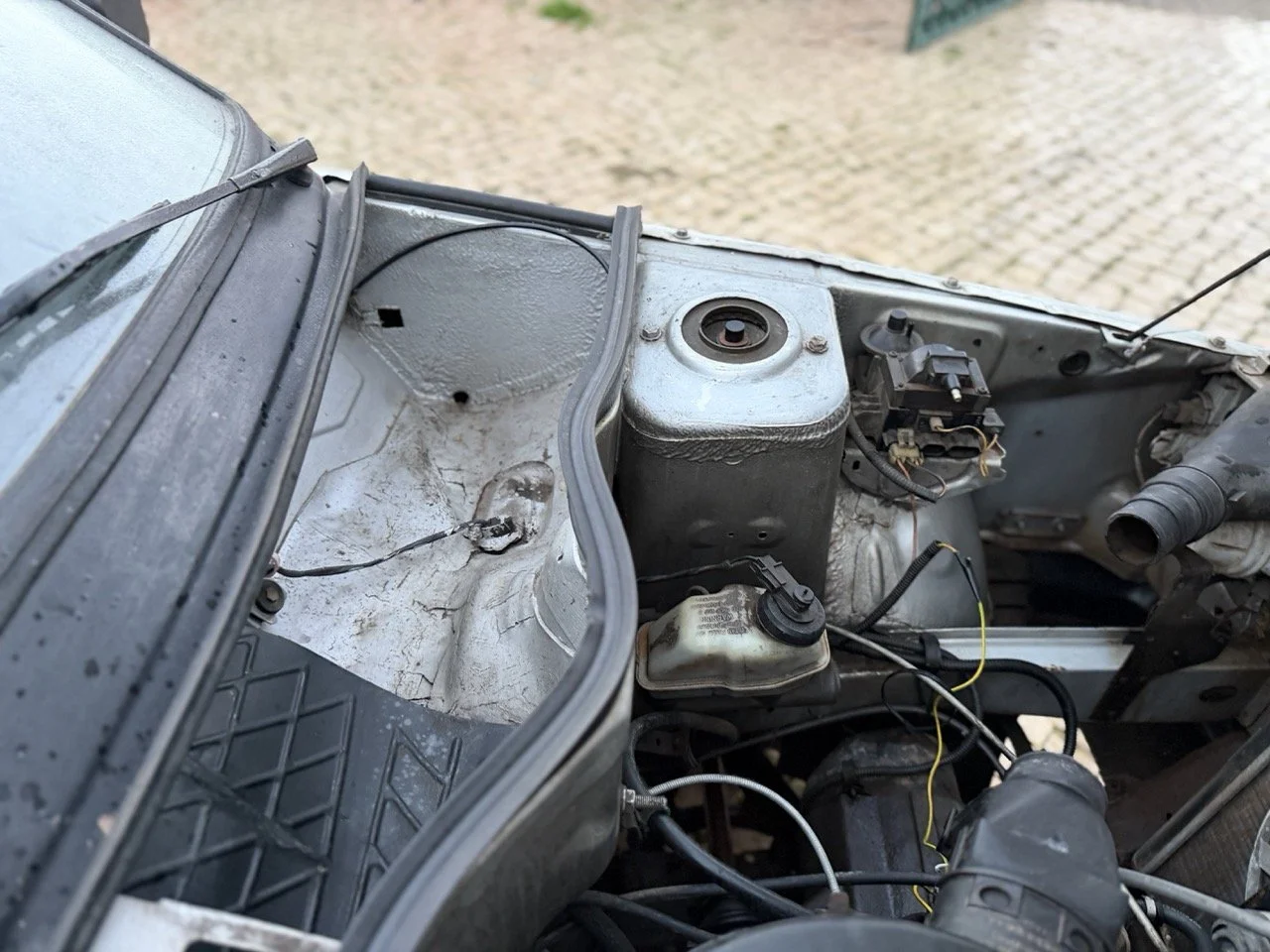 IMG_4741 3 – grande.jpeg