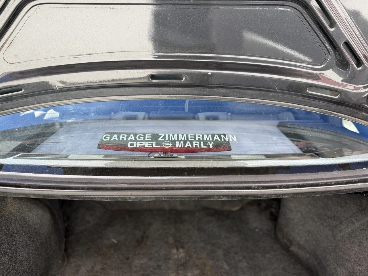 IMG_2738 – grande.jpeg