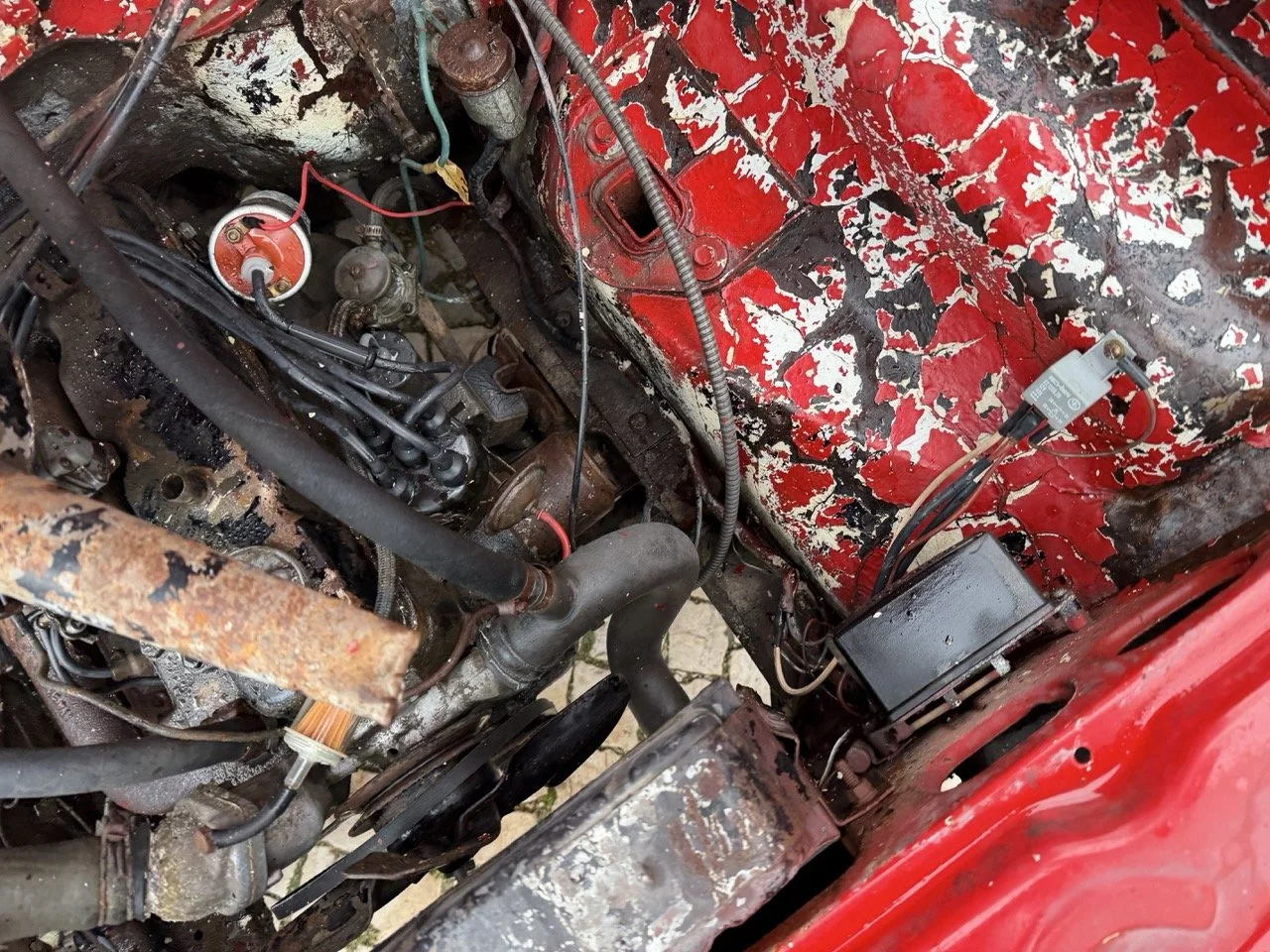 IMG_9681 – grande.jpeg