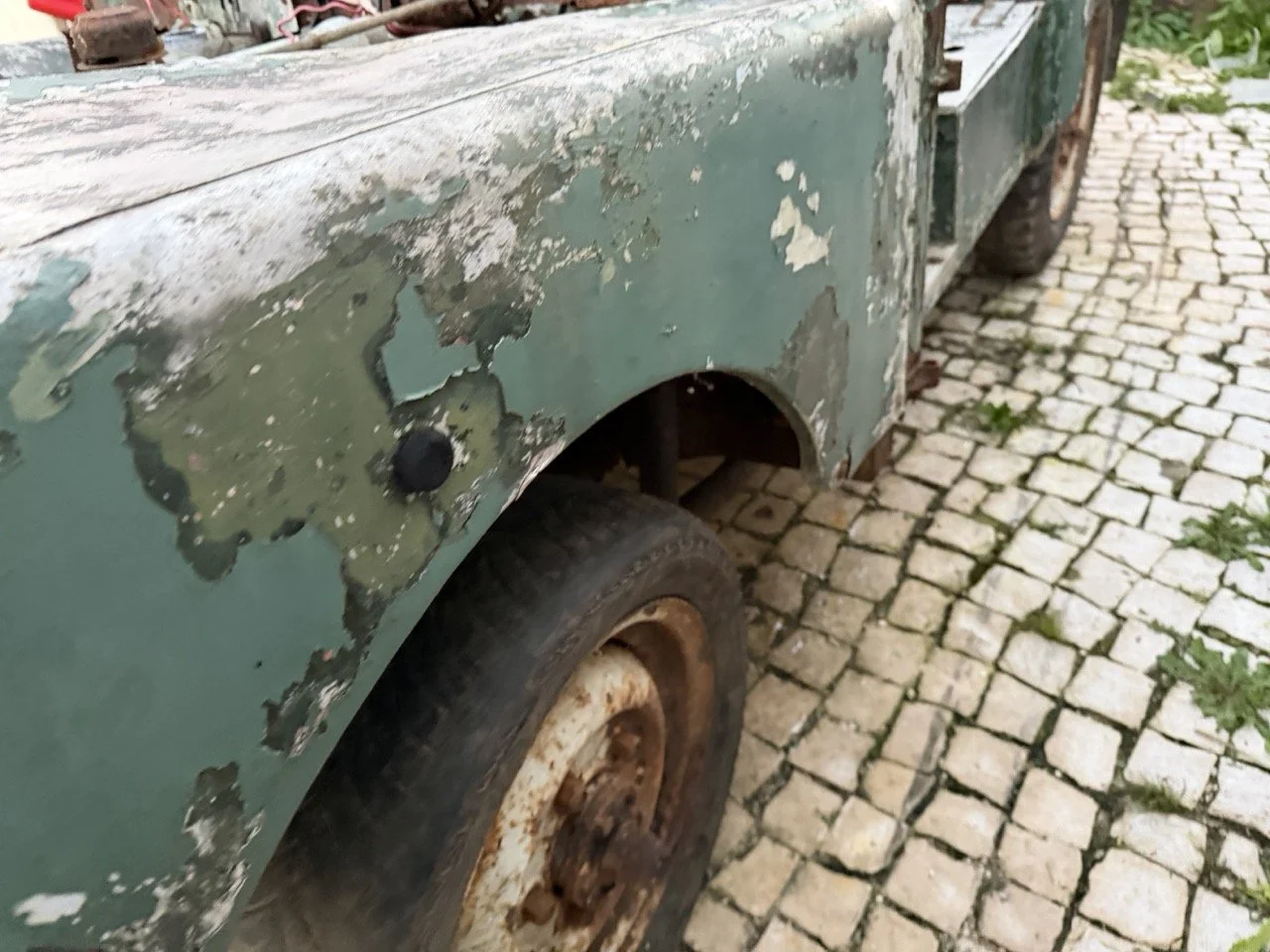 IMG_7444 – grande.jpeg