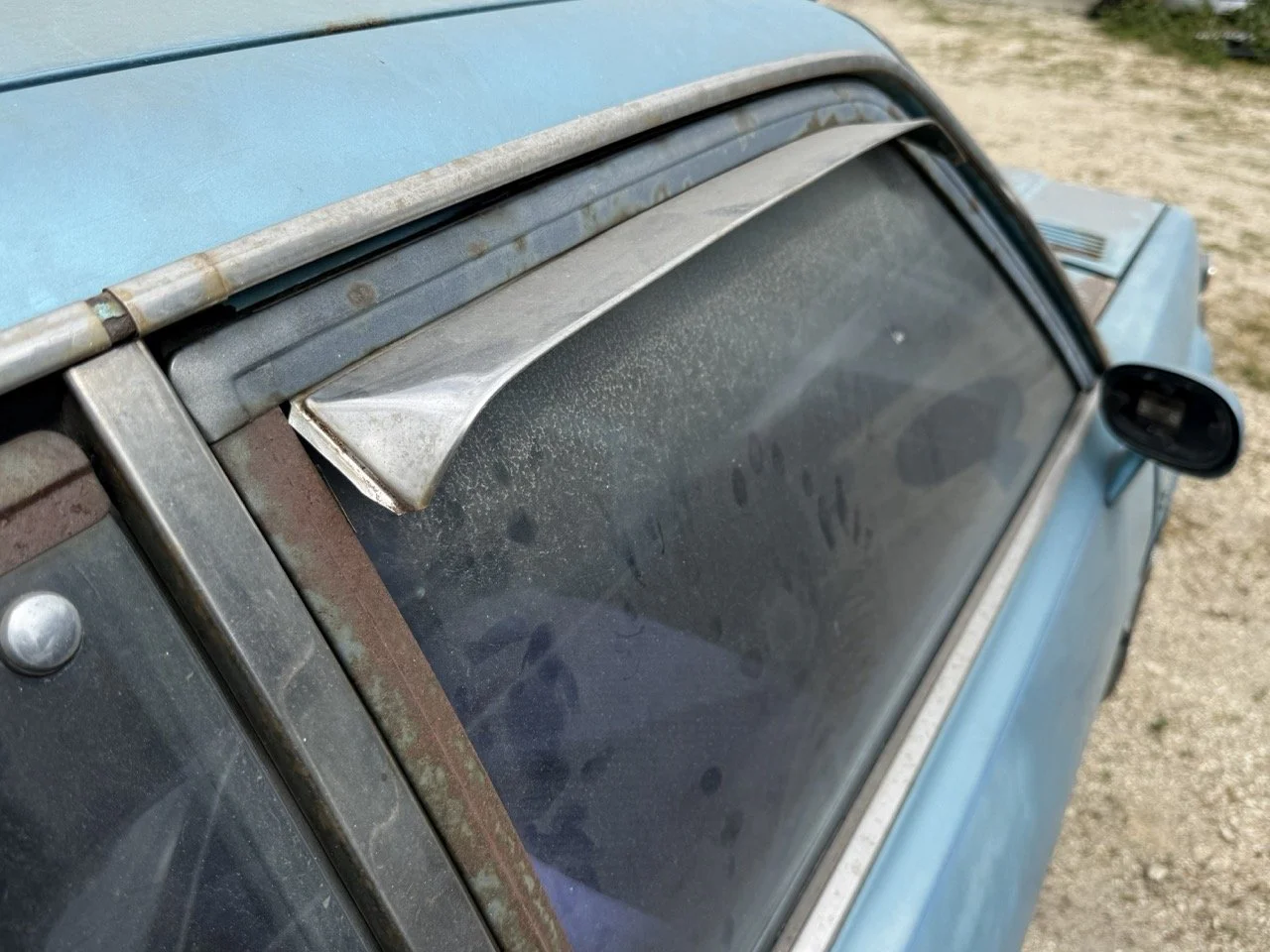 IMG_1541 – grande.jpeg