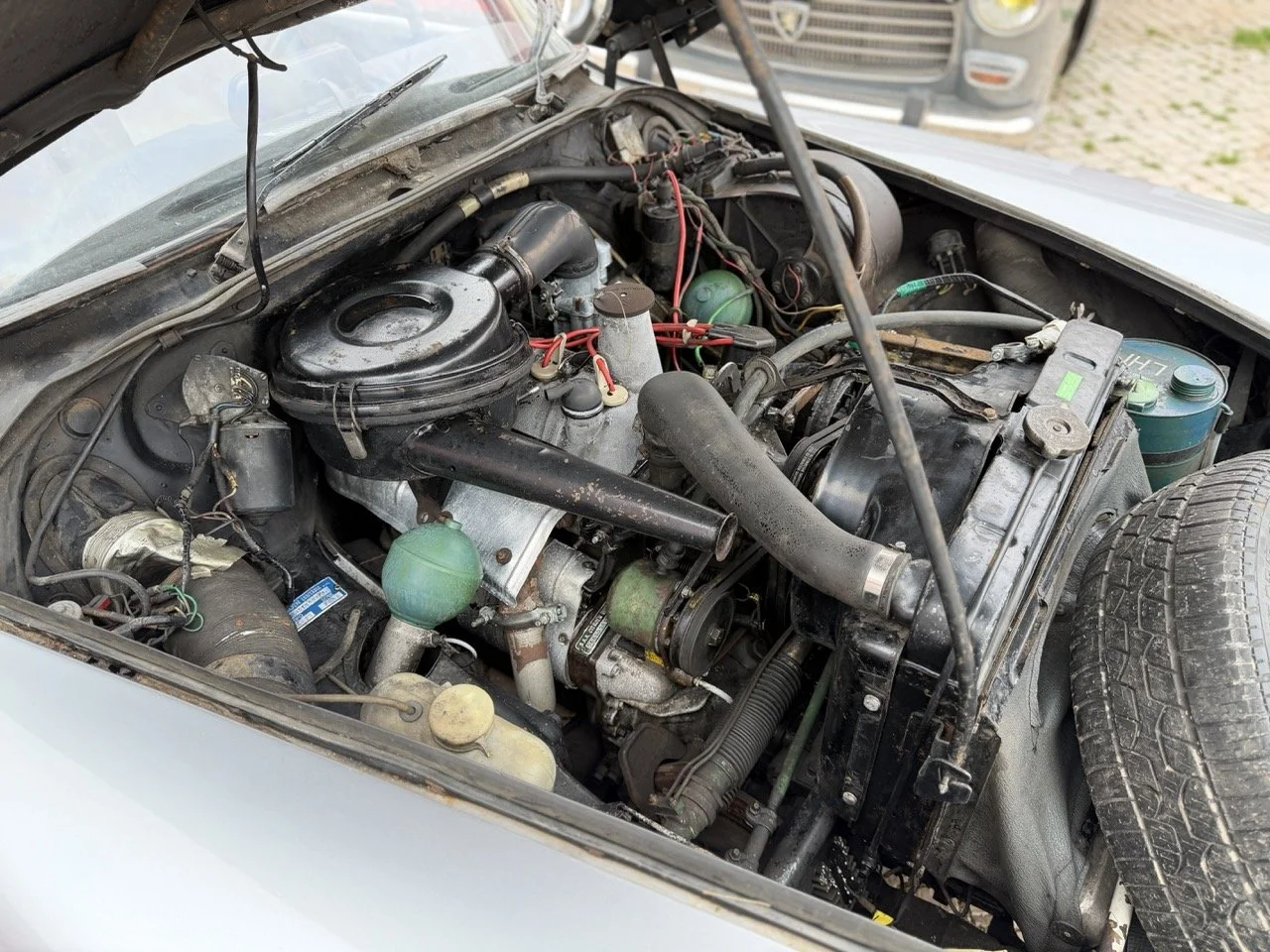 IMG_3729 – grande.jpeg