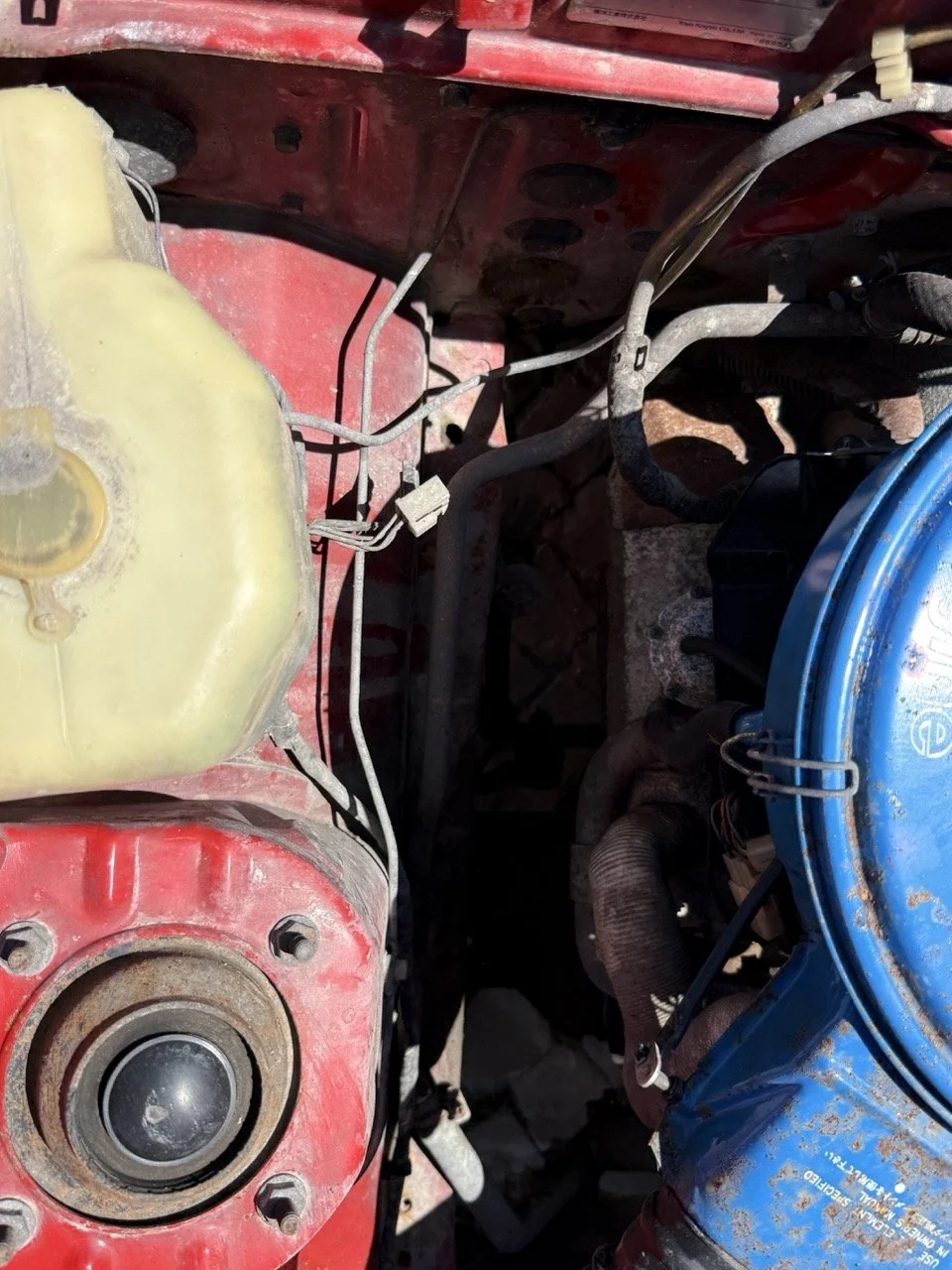 IMG_2048 – grande.jpeg