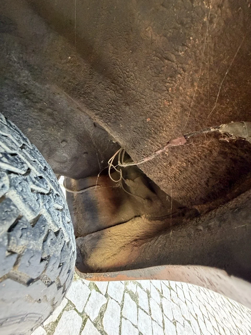 IMG_2454 – grande.jpeg