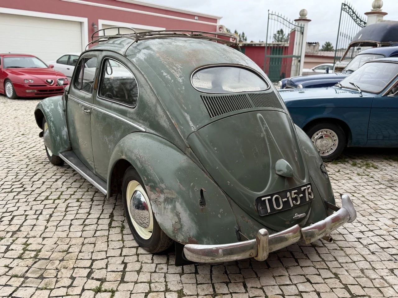 IMG_1101 – grande.jpeg