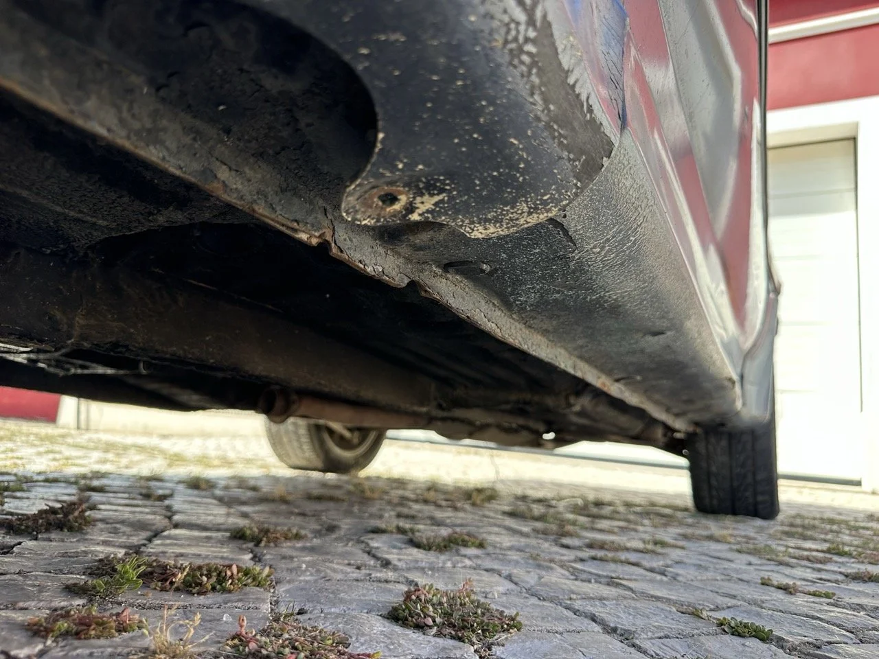 IMG_7242 – grande.jpeg