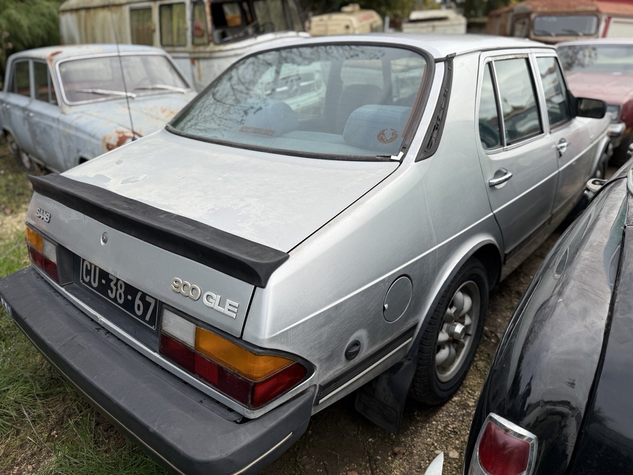 IMG_4999 – grande.jpeg