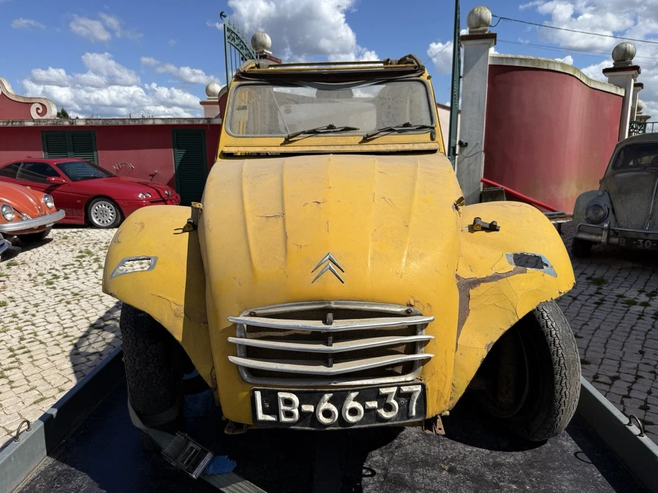 IMG_9095 2 – grande.jpeg