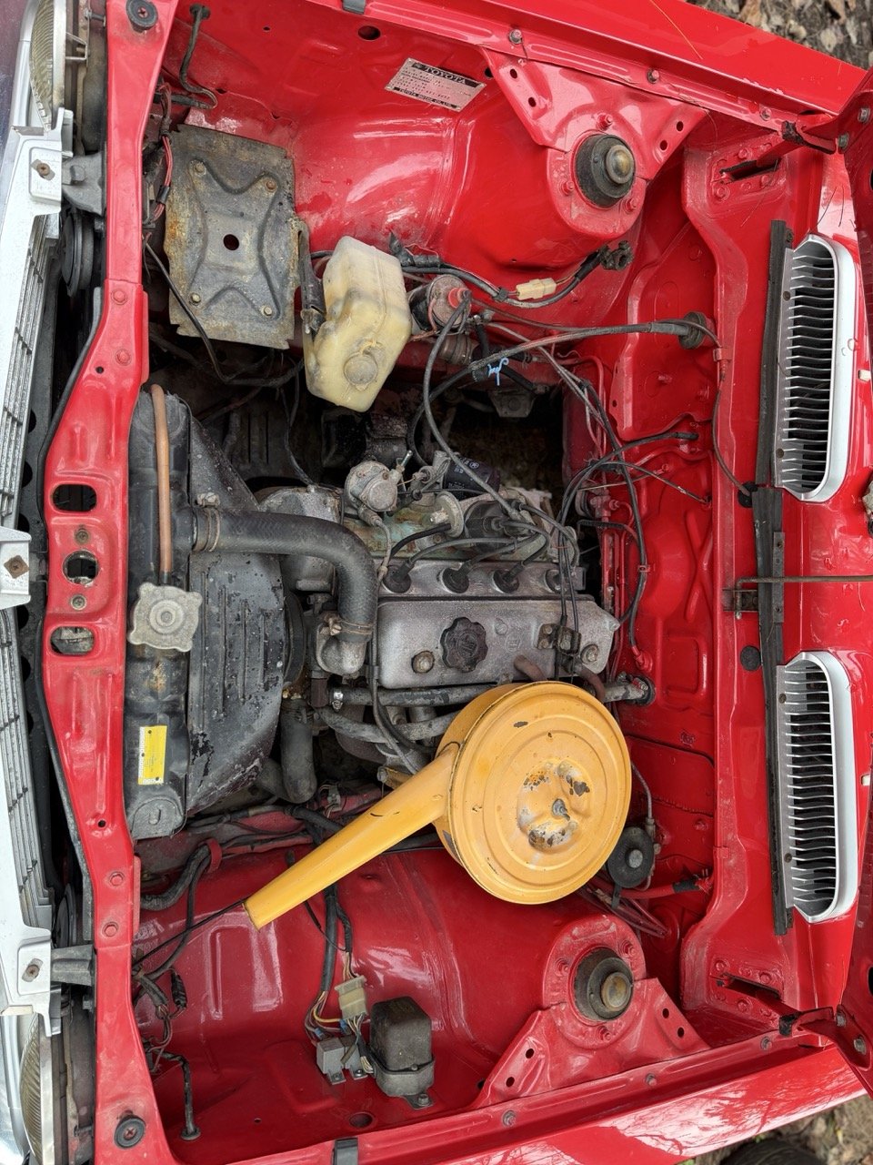 IMG_4941 – grande.jpeg