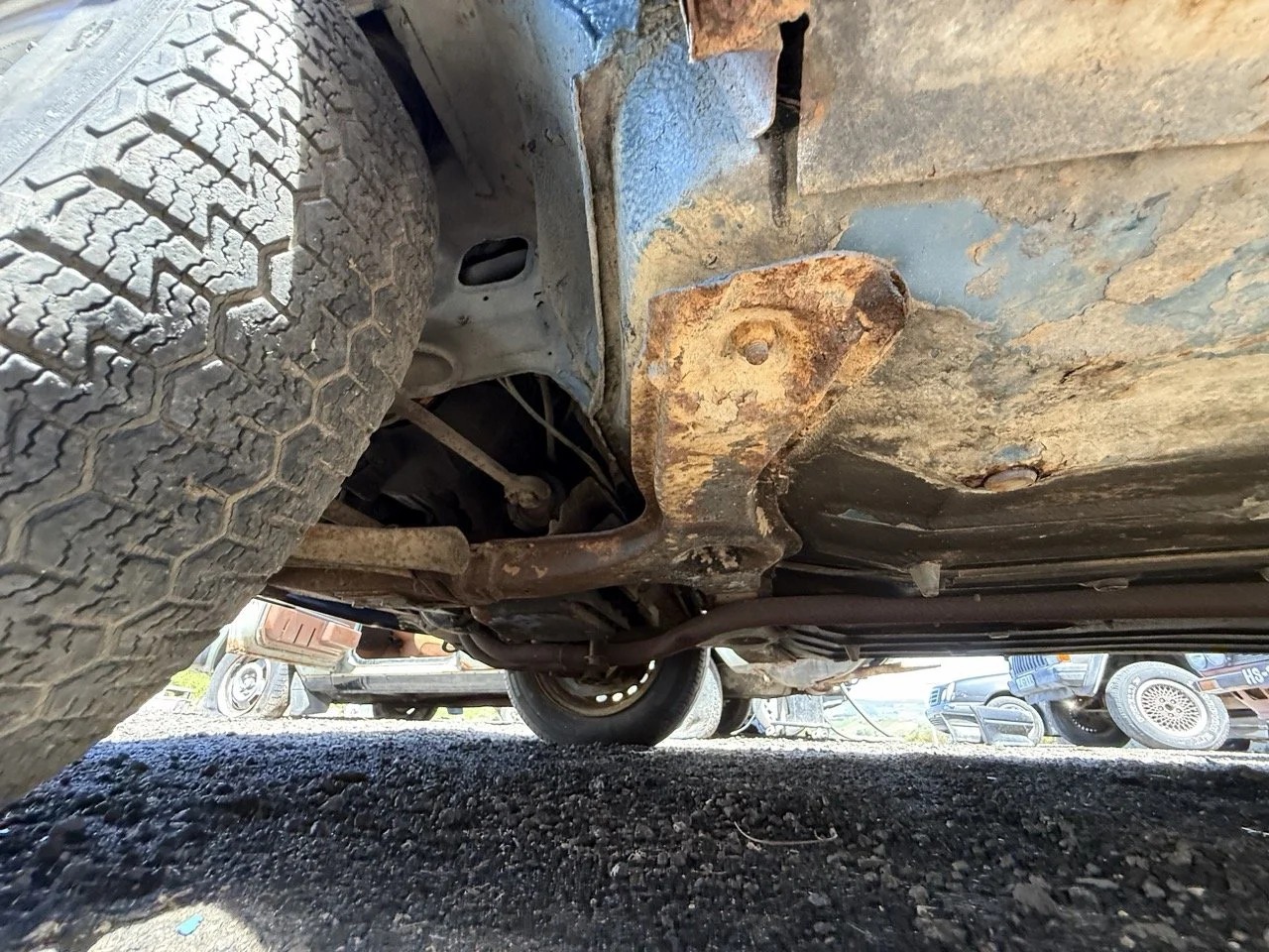 IMG_0802 – grande.jpeg