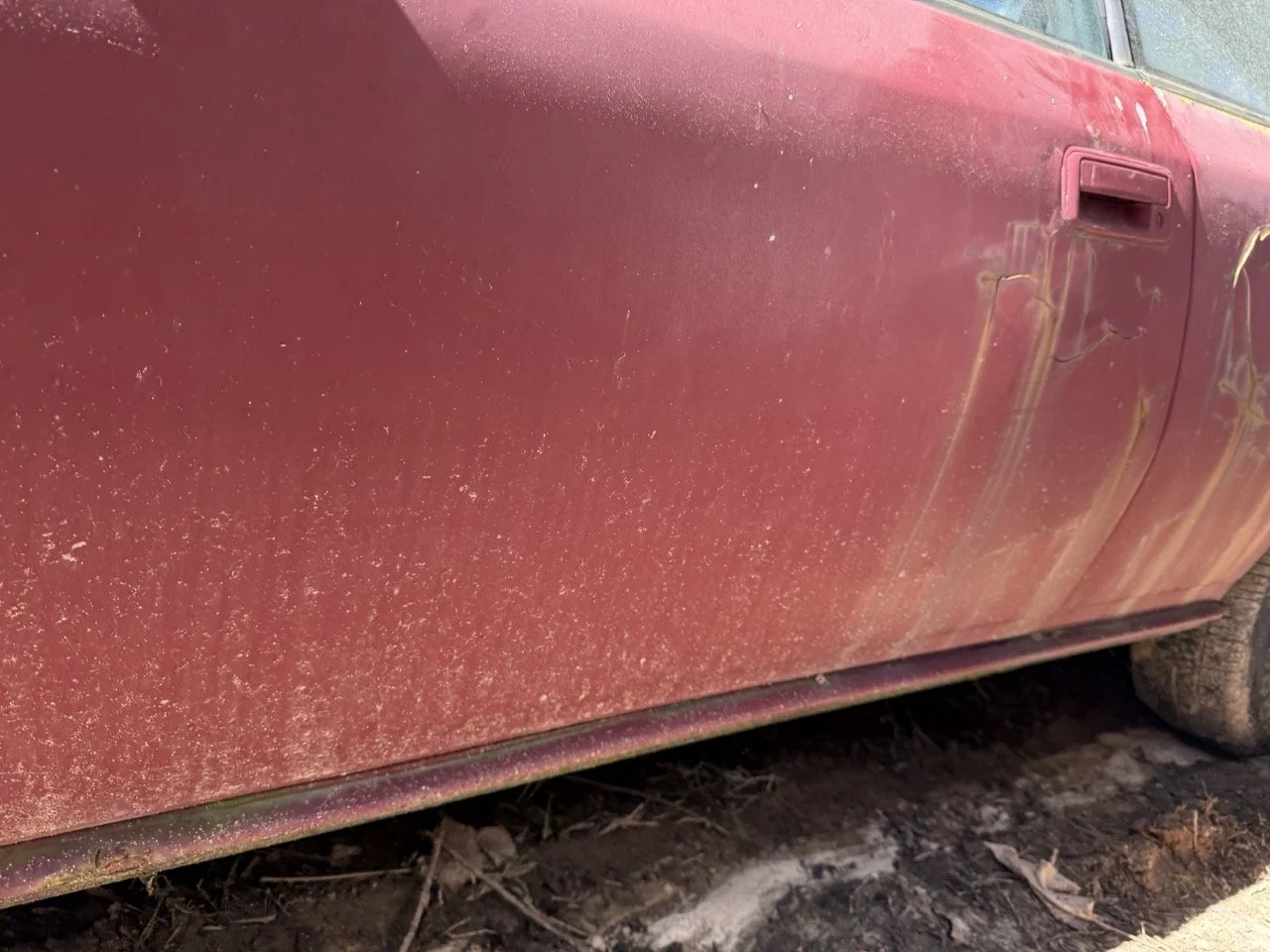 IMG_7635 – grande.jpeg