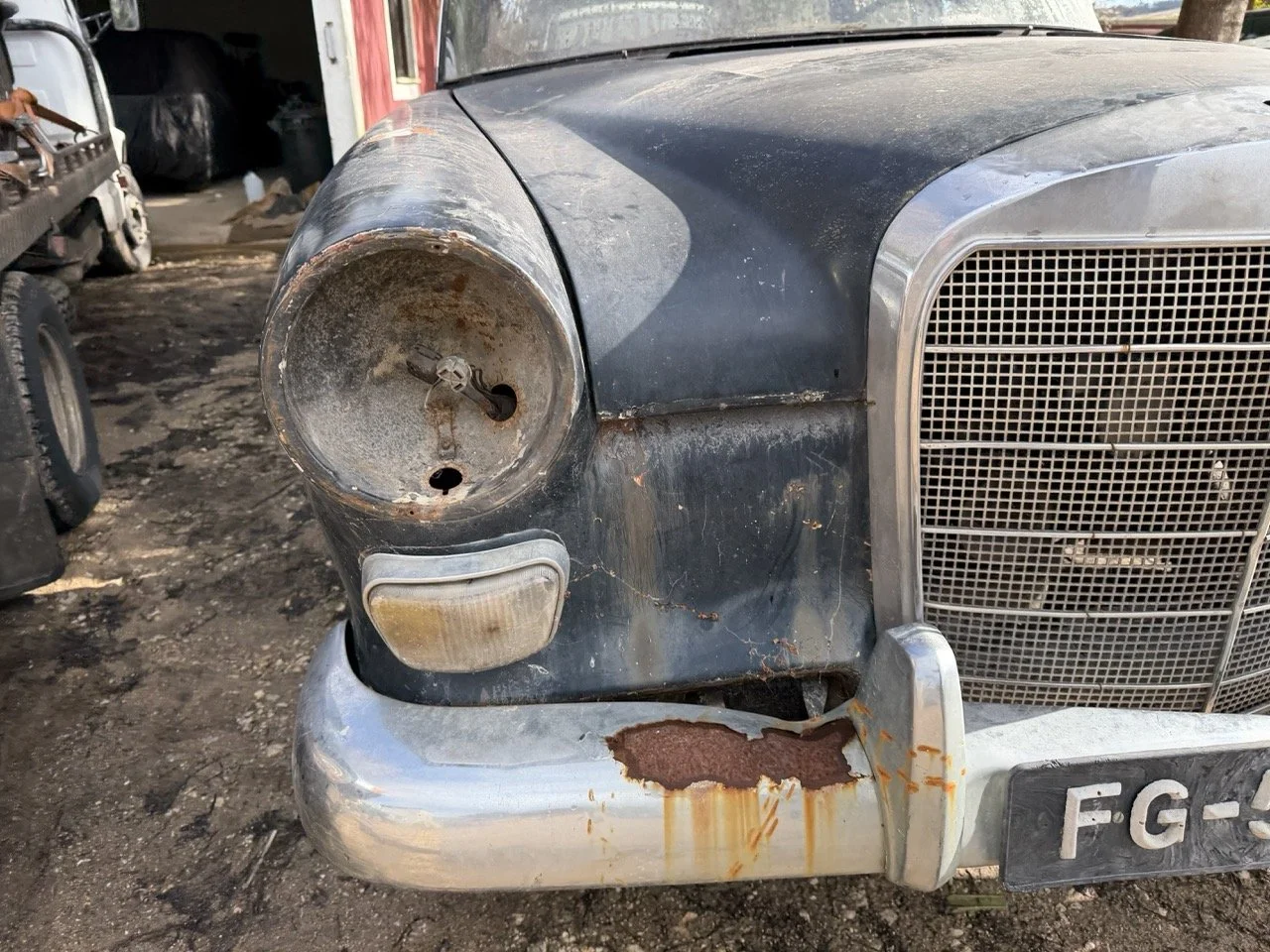 IMG_5245 – grande.jpeg