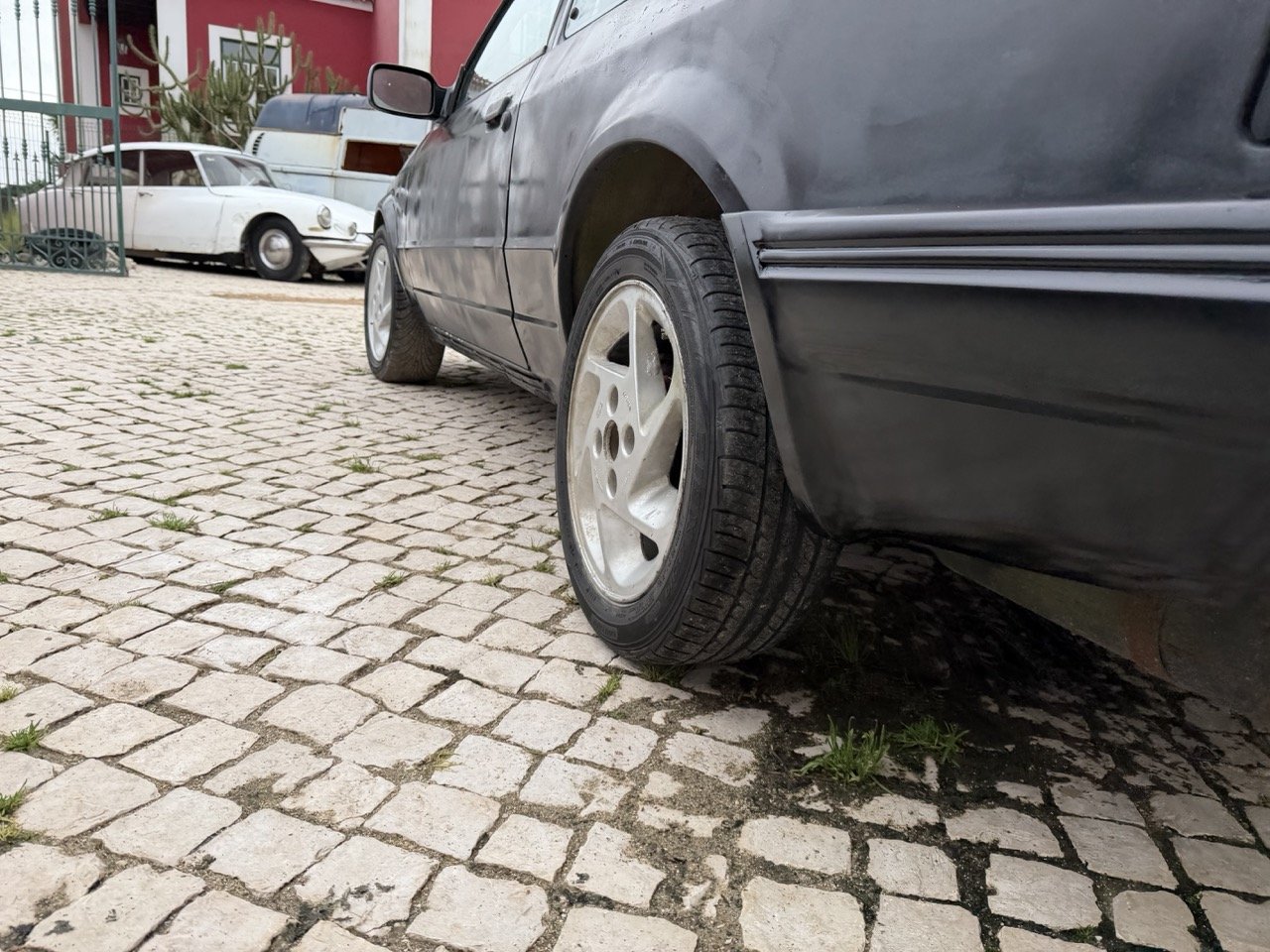 IMG_1308 – grande.jpeg