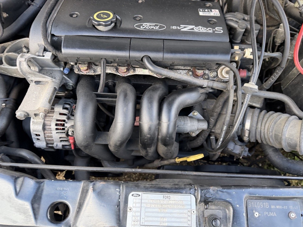 IMG_5317 – grande.jpeg