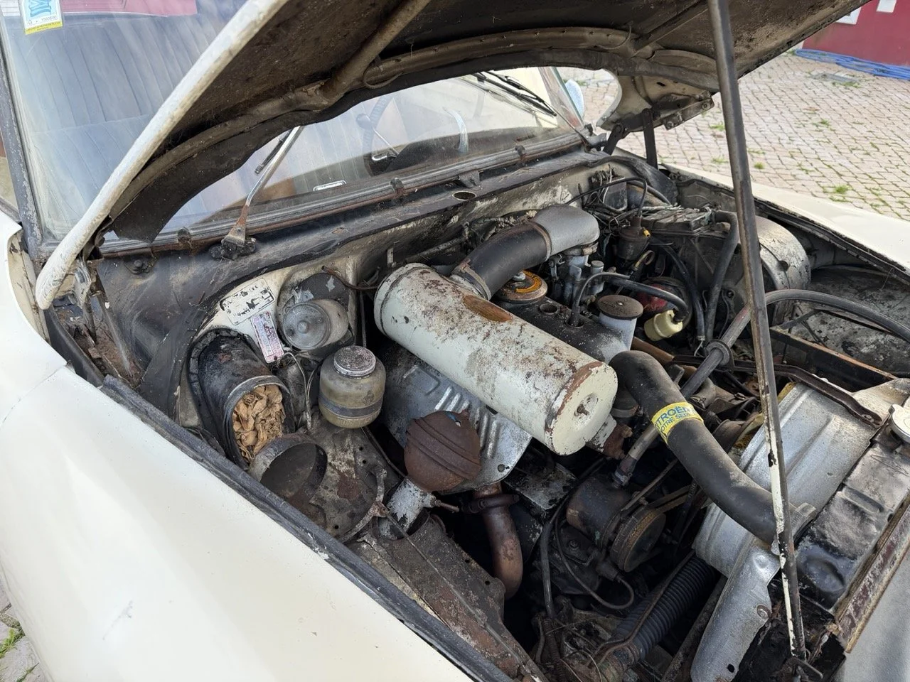 IMG_5960 – grande.jpeg