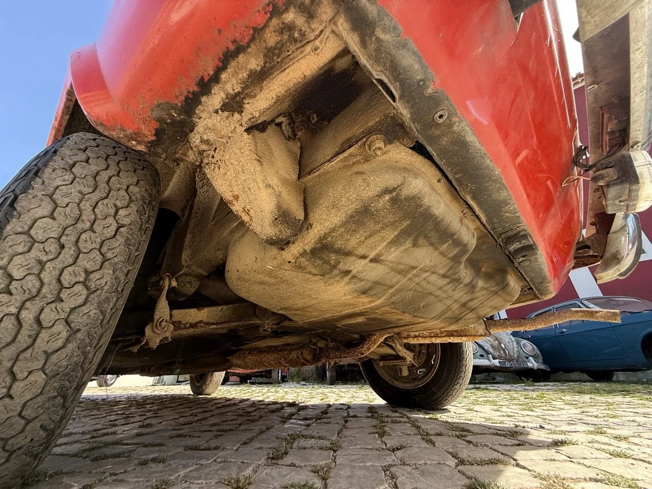 IMG_2363 – grande.jpeg