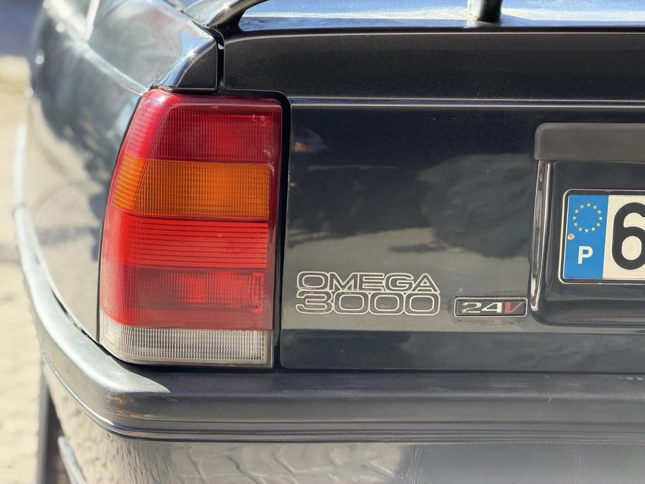 IMG_2704 – grande.jpeg