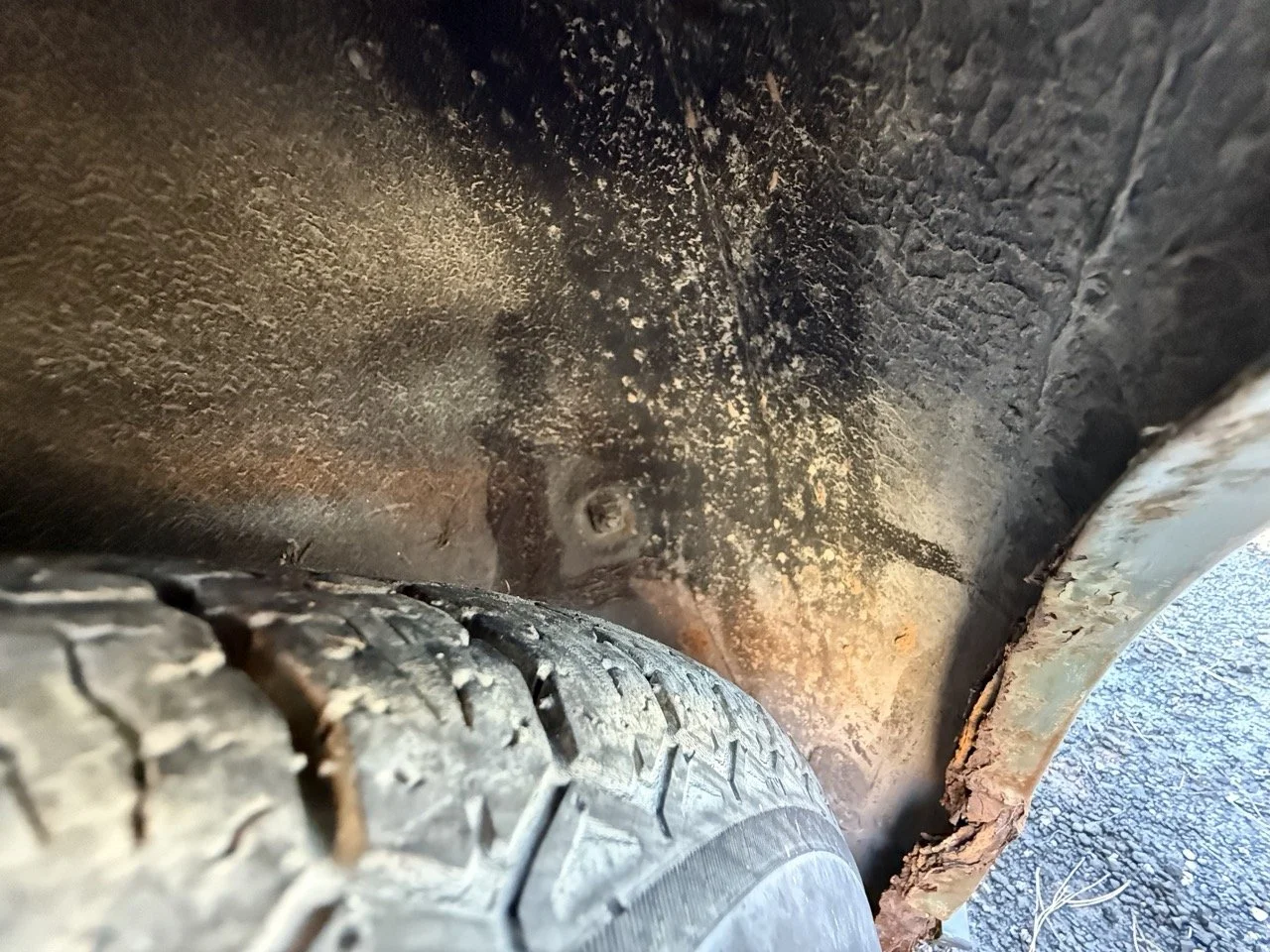 IMG_1249 – grande.jpeg