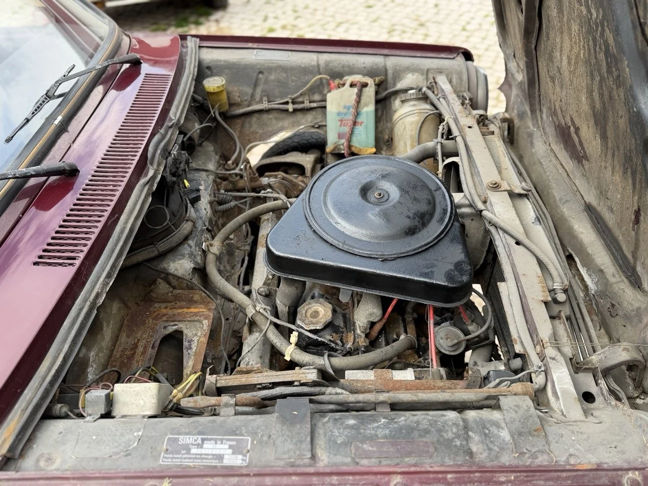 IMG_4910 – grande.jpeg