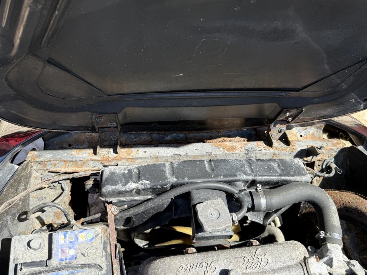 IMG_2228 – grande.jpeg