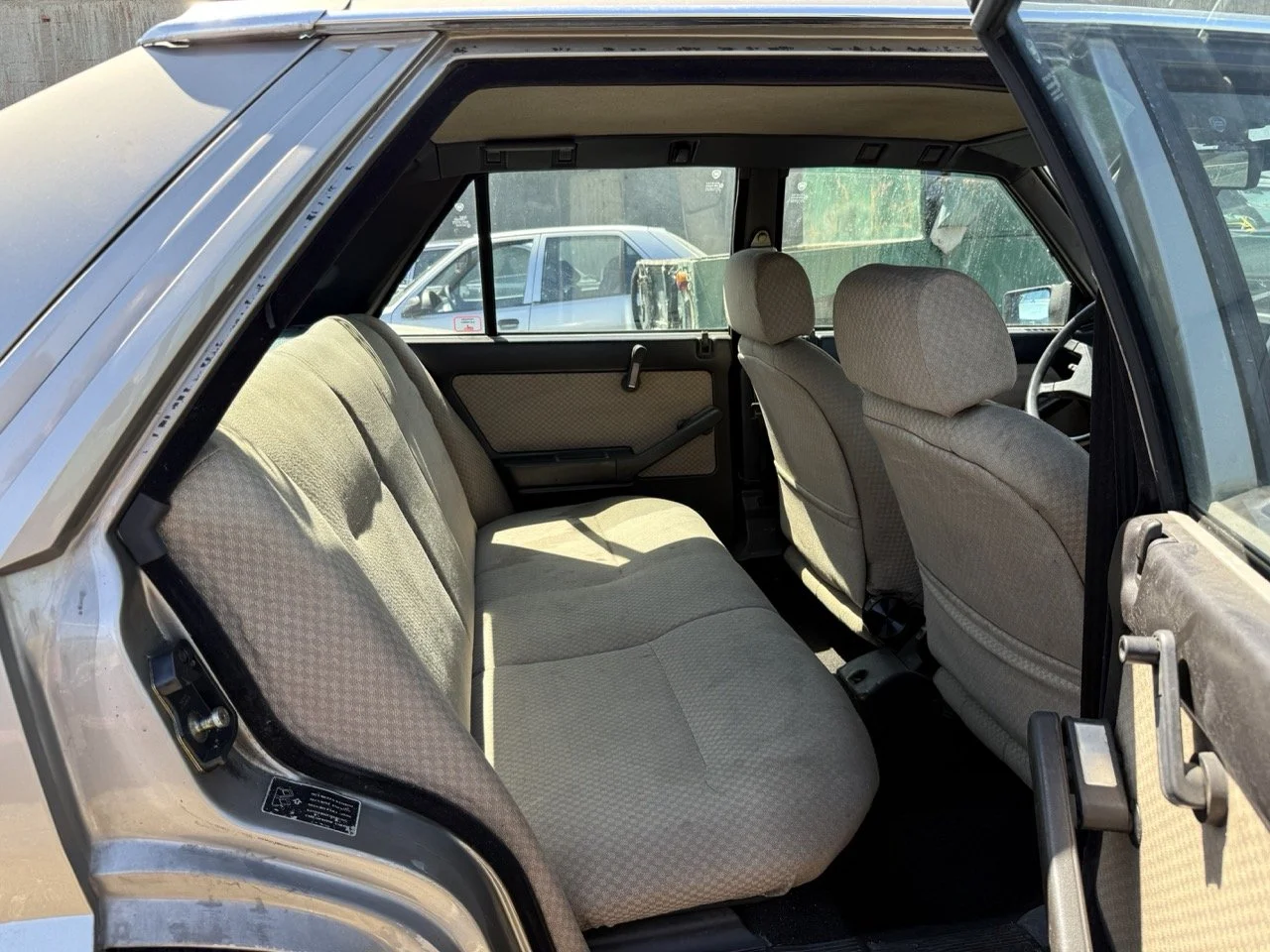 IMG_1890 – grande.jpeg