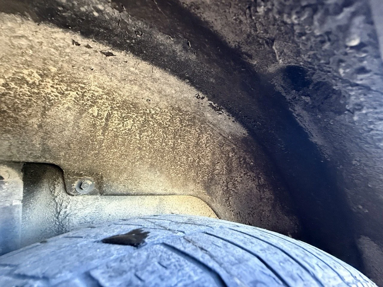 IMG_1817 – grande.jpeg