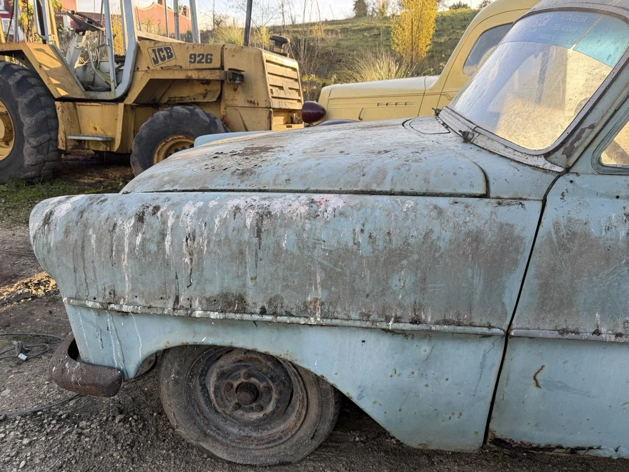 IMG_4044 – grande.jpeg