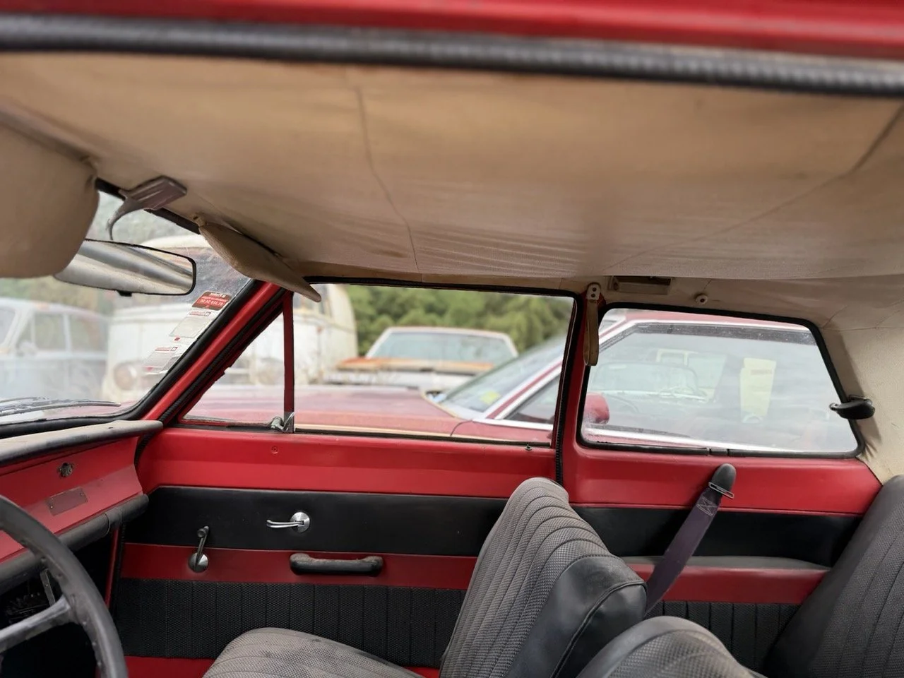 IMG_4967 – grande.jpeg